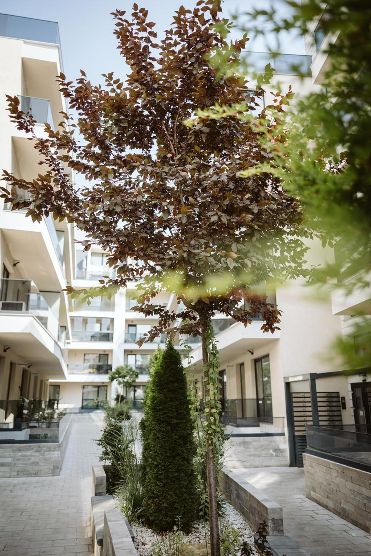 Dec Apartments Бухарест Экстерьер фото